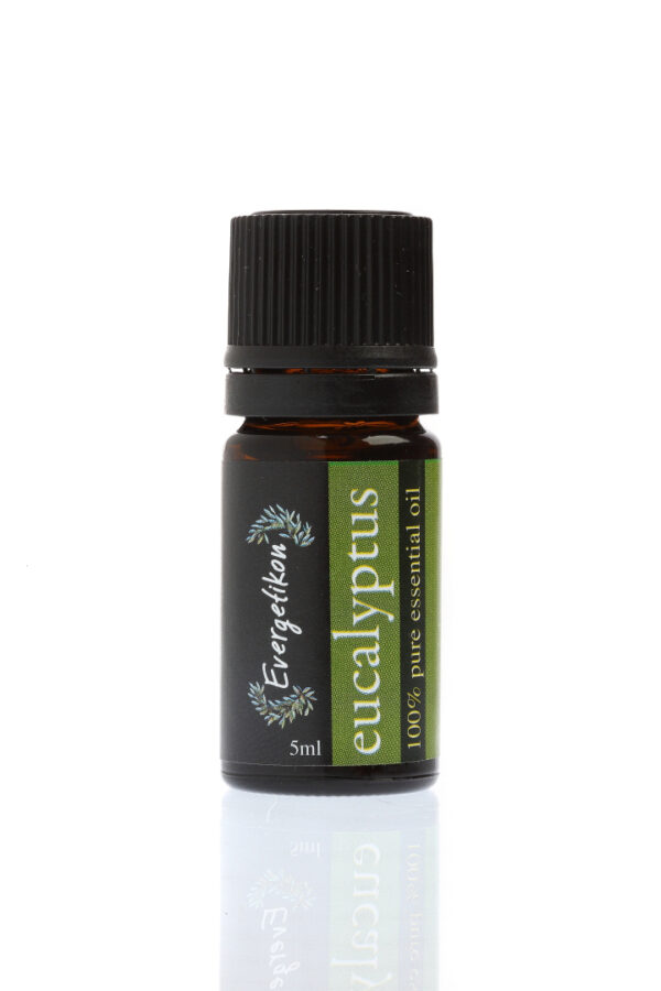 Eucalyptus Essential Oil (5ml) - Evergetikon-0