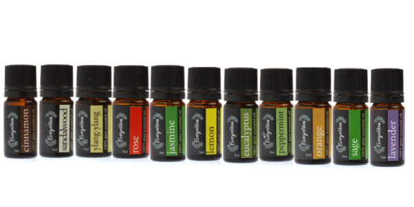 Essential Oils Set (11pcs) - Evergetikon-0